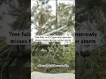 Tree falls in El Cajon during San Diego County winter storm and narrowly misses homes