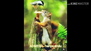 musik andmesh hanya rindu mp3