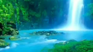 instrumen biola menyentuh hati