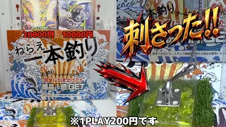 常連が毎日取りまくる200円のフック設定で素人が取れるのかやってみたww