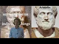 Aristotle Matter Form and The Four Causes