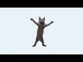 Download Lagu cats - the living tombstone (sped up) 1 hour