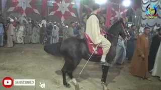 مزماز بلدي واحلي خيال فرحة محمد ابو عكروت الحبيل الشرقي ابوتشت قنا دندنها