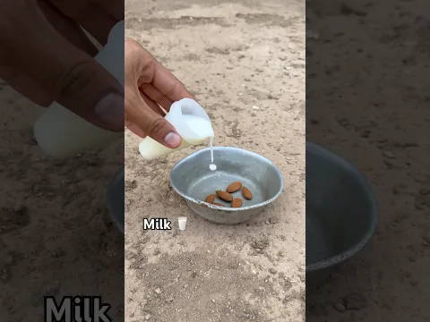 Check the result of without shell almonds #youtubeshorts