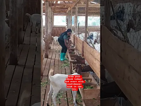 Turn Your Goats Into Profits! Beginner secrets in the Ebook. #shorts #goats #farming