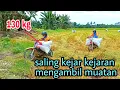 Download Lagu Motor taxi ojek padi di sawah