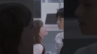 A Good Day To Be A Dog Shorts Youtubeshorts Shortvideo 