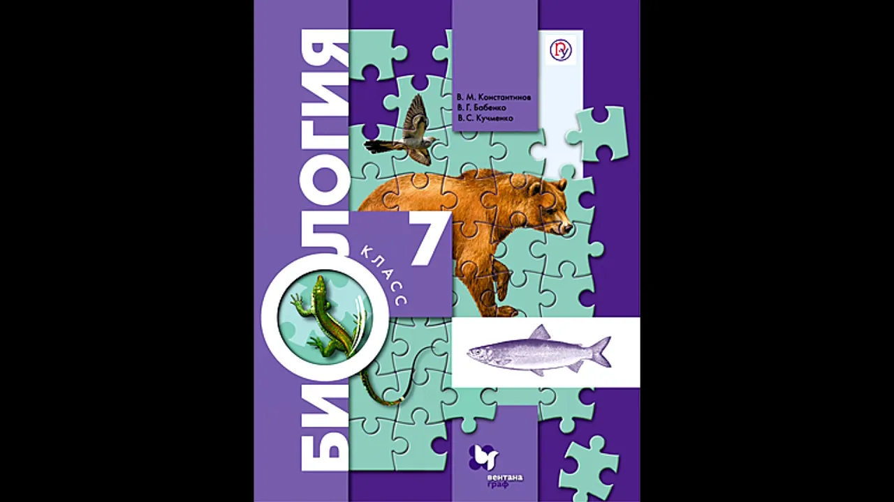 § 12 (часть 3) Класс Двустворчатые моллюски