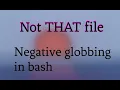 Everyting BUT this file - Negative globbing in bash