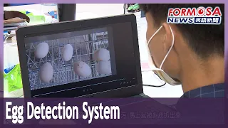 University team builds smart detection system to identify dirty eggs