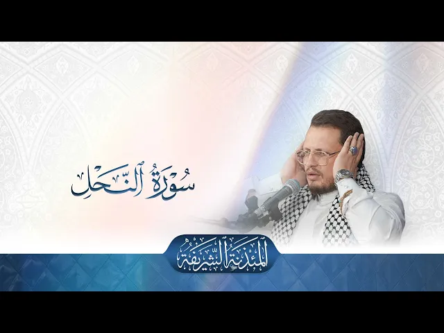 ⁣تلاوة قارئ العتبتين المقدستين محمدرضا الزبيدي | ما تيسّر من سورة النحل المباركة