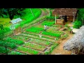 Download Lagu CEO Trieu Minh Gardening, Planting Flowers \u0026 Personally Cooking the Global Sensation 'BUN CHA Obama