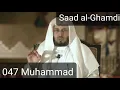 Download Lagu Saad al-Ghamdi - Muhammad