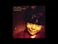 Yann Tiersen - I've never been there - Amelie (HERB Remix)