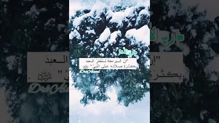 ءءءءءء حالات واتساب ستوريات انستغرام الصلاة على النبي ءءءءء دندنها