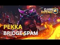 BEST PEKKA Bridge Spam Deck 2024 Clash Royale
