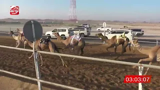 الشوط 7 شان لـ هزاع حمد محمد الدرعي 4 29 95 شارة الديوان 2024 12 11 حقايق الرقيعات 