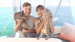 Real-Time Update? We’re in the Middle of the Pacific! (Sailing Curiosity)