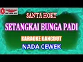 KARAOKE DANGDUT SETANGKAI BUNGA PADI - SANTA HOKY (COVER) NADA CEWEK
