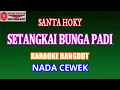 Download Lagu KARAOKE DANGDUT SETANGKAI BUNGA PADI - SANTA HOKY (COVER) NADA CEWEK