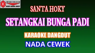 Download KARAOKE DANGDUT SETANGKAI BUNGA PADI - SANTA HOKY (COVER) NADA CEWEK MP3