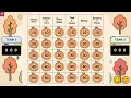 Fall Feast Math Jeopardy PowerPoint Game Thanksgiving Math Review