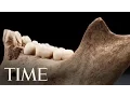 Cannibalism At Jamestown Listening To The Bones TIME