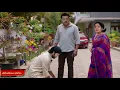 Download Lagu #karthika deepam serial today episode 14/10/2025 #దీప మీ ఇంటి వారసురాలు అని దశరథ కాళ్ళ మీద పడిన దాసు