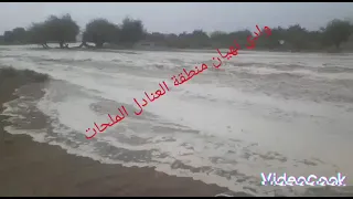 الملاحات المراشي  الملاحات المراشي