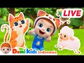 🔴LIVE  Tidur Siang | Lagu Anak Yang Mendidik | Lagu Anak Bahasa Indonesia | Domi Kids
