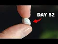 I Bought a Mystery Reptile Egg This Happened