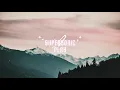 Santhosh Dhayanidhi - Kutty Pattas (Lyrics)