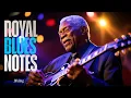Download Lagu 🎸B.B. King’s Inspired Blues Reborn – A Soulful Tribute Like Never Before!🎶