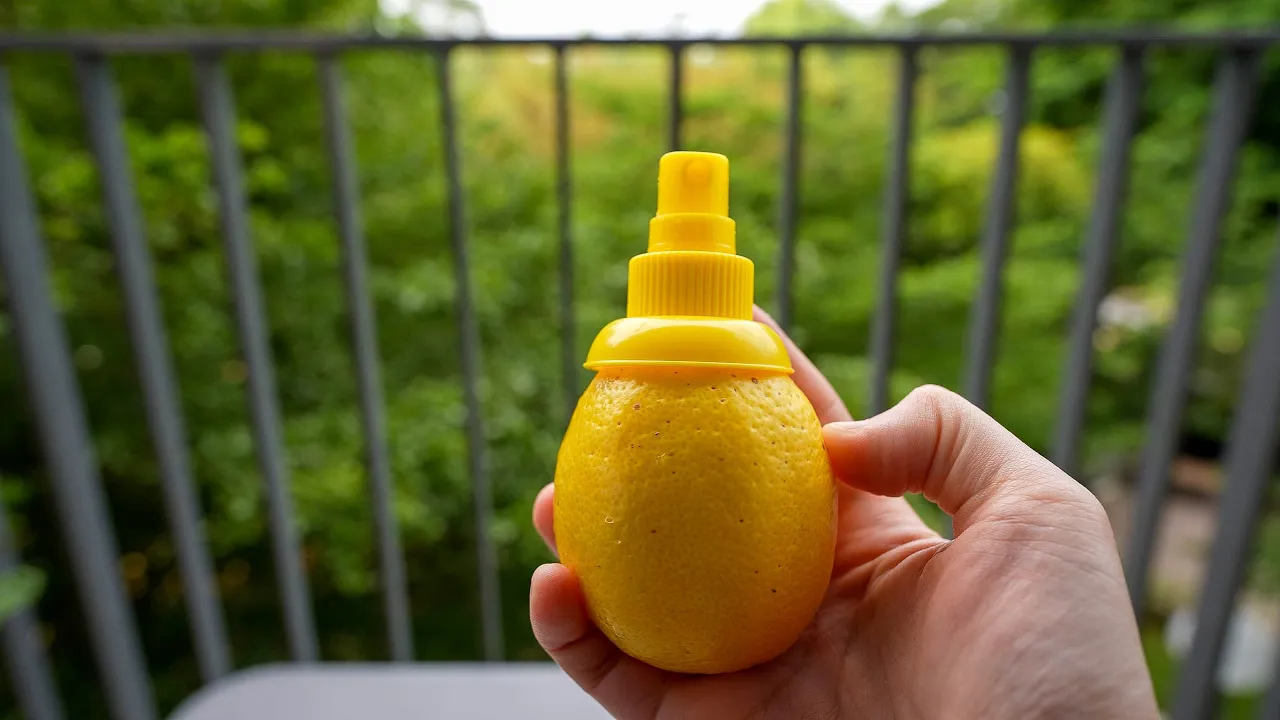 10 Japanese Food Gadgets