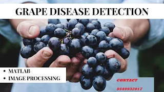 Real-Time Diseases Detection of Grape and Grape Leaves using GLCM and SVM Classifier MATLAB