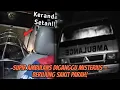 Download Lagu Supir Ambulans Diganggu Misterius — Berujung Sakit Parah! #botcrmisteri #purwamisteri 