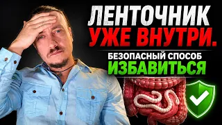 Ленточник внутри: как вывести его безопасно