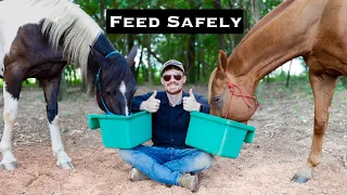 My Stress-Free Feeding Routine | How to Fix/Prevent Food Aggression in Horses!