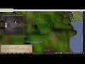 OSRS tutorial island AHK script showcase
