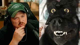 Try Not To Laugh Challenge