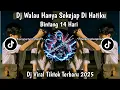 DJ BINTANG 14 HARI - DJ WALAU HANYA SEKEJAP DI HATI MENGAPA HANYA UNTAIAN KATA VIRAL TIKTOK TERBARU