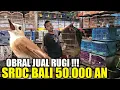 Download Lagu GA RUGI TA ! MAS DIDI BIKIN PRAMUKA KETAR KETIR !!! SRDC BALI BALI DIBANDROL 50 RIBUAN HARI INI
