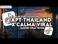 Download Lagu DJ APT THAILAND X CALMA X SALEHO SOUND HEALING SLOW BASS VIRAL TIKTOK