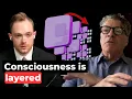 Why Consciousness Is Hierarchical The Nested Observer Window Model Jonathan Schooler P