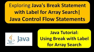 Exploring Java s Break Statement with Label for Array Search Java Control Flow Statements