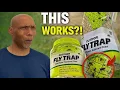 We Tested Home Depot s Best Bug Traps to Get Rid of Flies Gnats