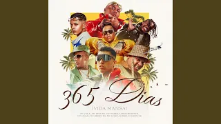 365 dias vida mansa 