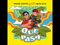 Download Lagu Que pasa - Whisnu Santika FT. Liquid silva (Gx Edit)