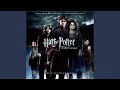 Download Lagu Potter Waltz