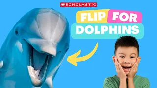 DOLPHIN 🐬 Facts for KIDS | DOLPHINS Ride Waves 🌊 for FUN